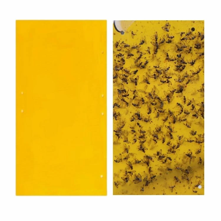 Waterproof Sticky Pest Sheet
